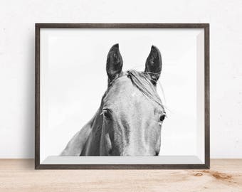 Fotografía monocromática, Fotografía de caballos ligeros, Arte ecuestre, Impresión física