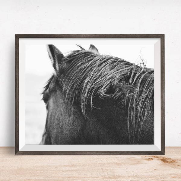 Physical Photo Print, Horse Photography in Black and White, Rustic Horse