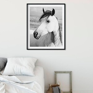 Rustic Country Photograph, Black and White Horse Art, Physical Print image 5