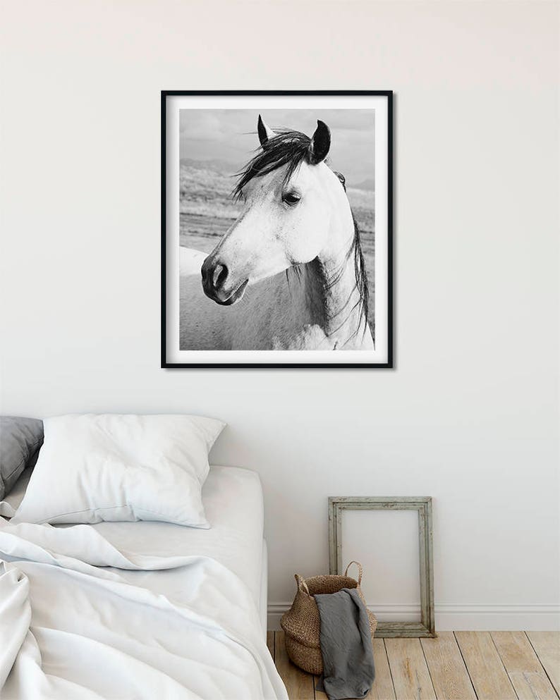 Rustic Country Photograph, Black and White Horse Art, Physical Print image 5