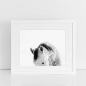 Modern White Horse Photograph White on White Horse Art Print PHYSICAL PRINT image 6