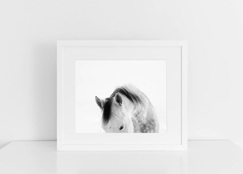 Modern White Horse Photograph White on White Horse Art Print PHYSICAL PRINT image 6