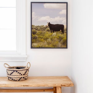 Modern Country Art Print, Cow Photograph, Western Wall Art, Original Photography image 4