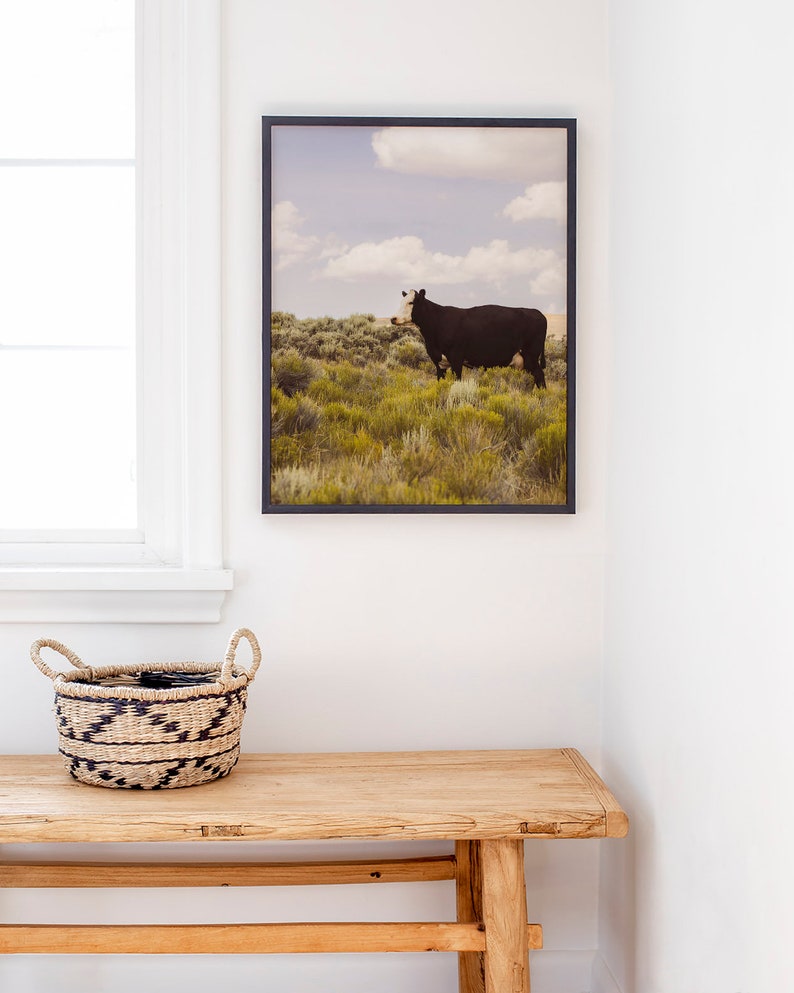 Modern Country Art Print, Cow Photograph, Western Wall Art, Original Photography image 4