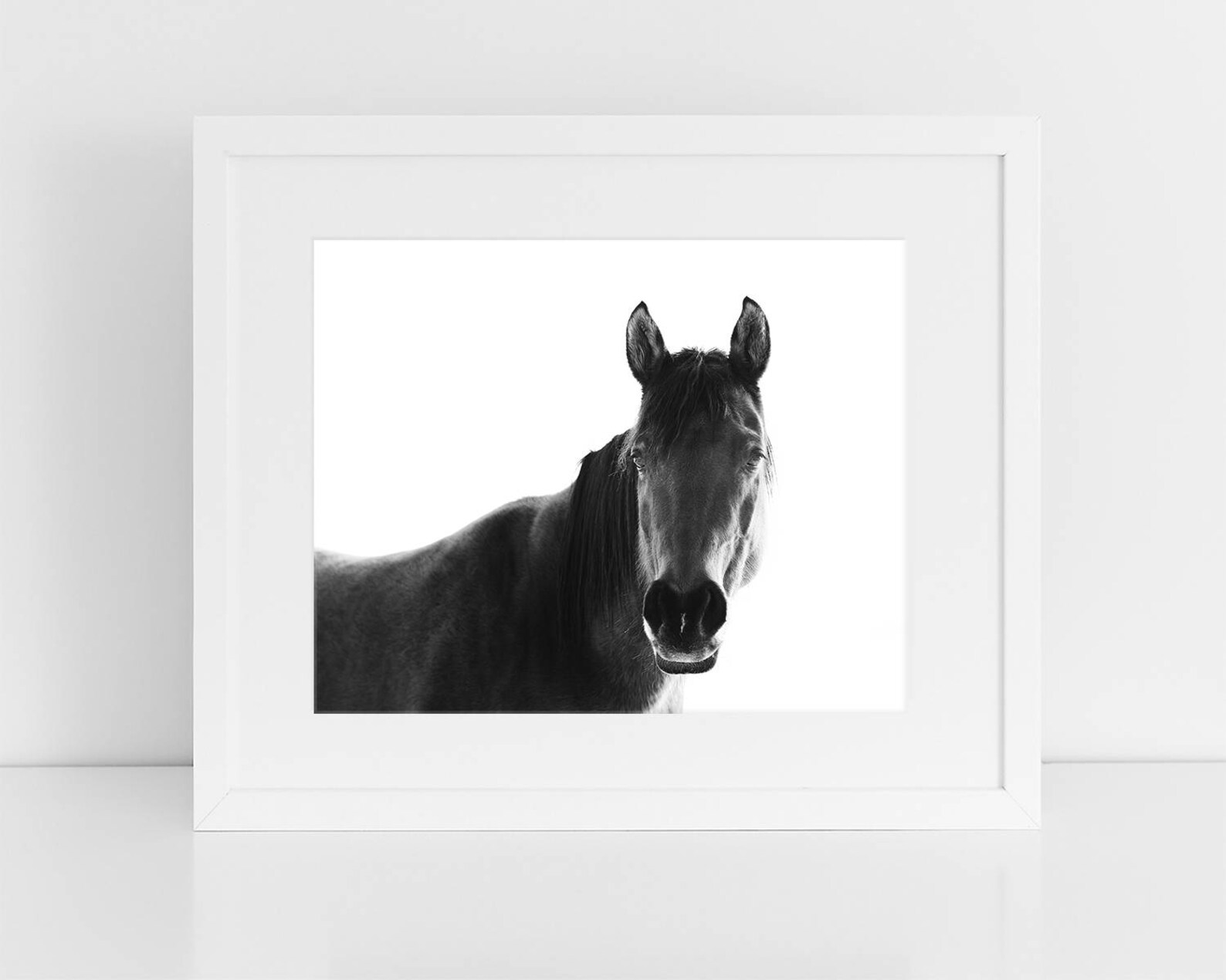 Black and White Horse Photography Print: Farmhouse Wall Art - Etsy