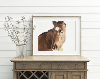 Modern Horse Photograph | Monochromatic Color with Neutral Background | PHYSICAL PRINT