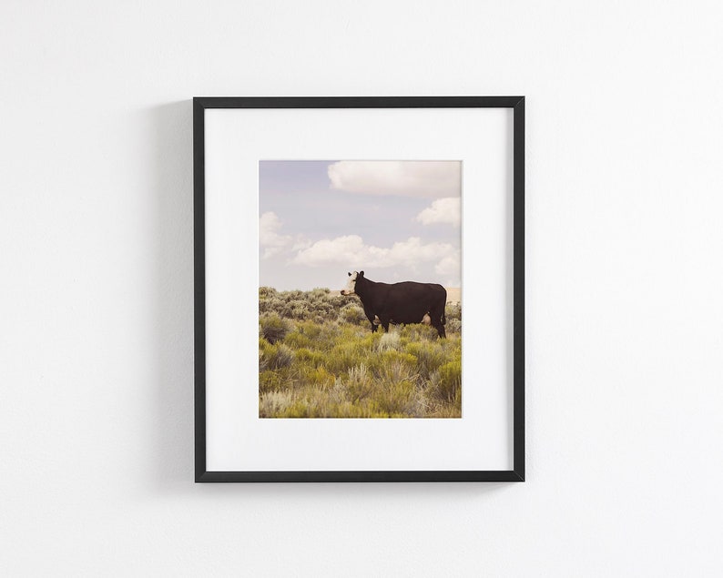 Modern Country Art Print, Fotografía de vaca, Western Wall Art, Fotografía original imagen 1