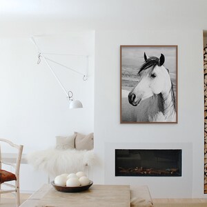 Rustic Country Photograph, Black and White Horse Art, Physical Print image 9