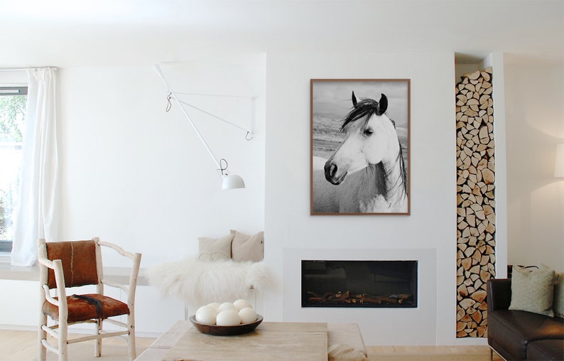 Rustic Country Photograph, Black and White Horse Art, Physical Print image 9