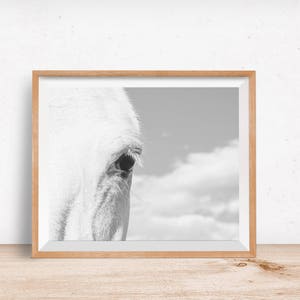 Horse Eye Photograph, Close Up White Horse, Physical Print image 6
