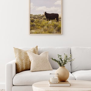 Modern Country Art Print, Fotografía de vaca, Western Wall Art, Fotografía original imagen 8
