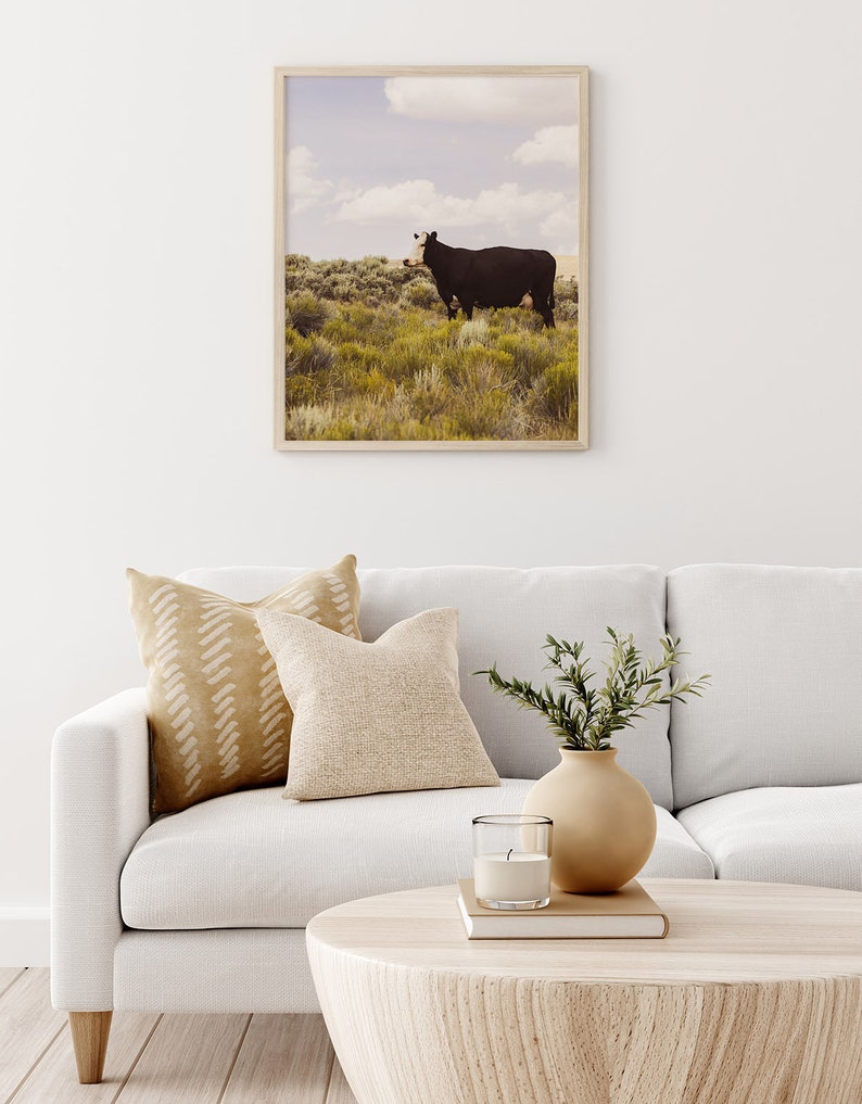 Modern Country Art Print, Cow Photograph, Western Wall Art, Original Photography image 8