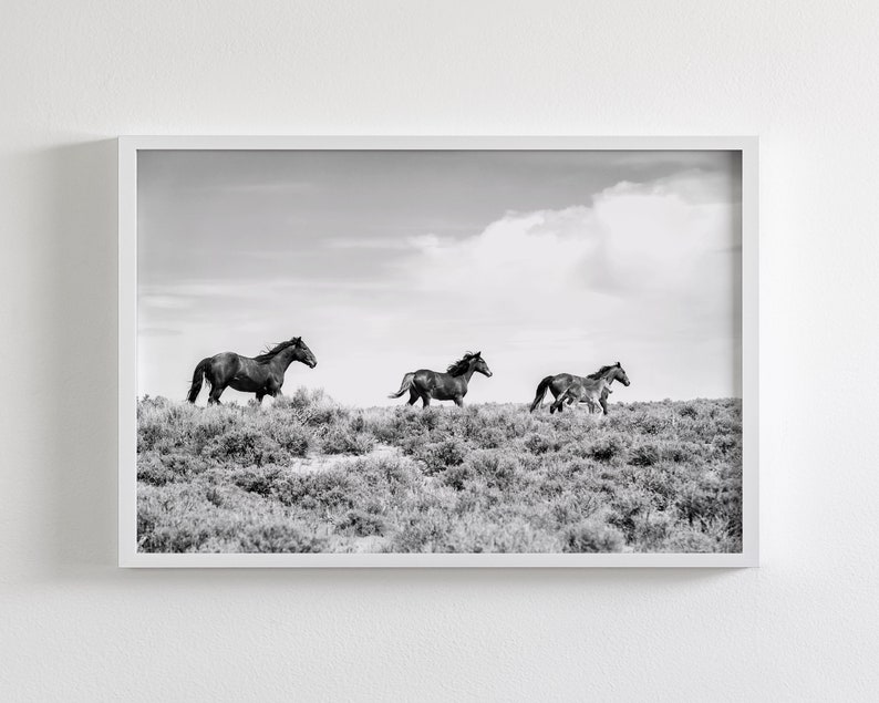 Running Horses in Black and White, Wild Mustangs, Western Art Print - Etsy
