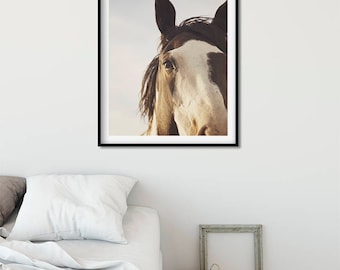 Large Vertical Horse Photo, Modern Equine Art, Paint Horse in Rustic Color, Physical Print