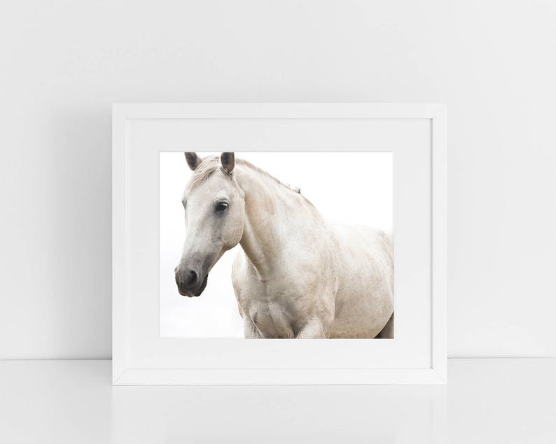 White Horse Photo, Monochromatic Photography, White Beauty, Fine Art Equestrian Photography image 2