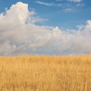 Sky and Field Bright Color Photograph, Montana Sky, Minimalist Landscape Art, Physical Print image 1