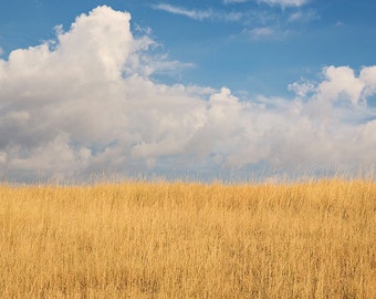 Sky and Field Bright Color Photograph, Montana Sky, Minimalist Landscape Art, Physical Print