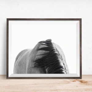 Horse Back Photograph in Black and White Modern Equine Art PHYSICAL PRINT image 2