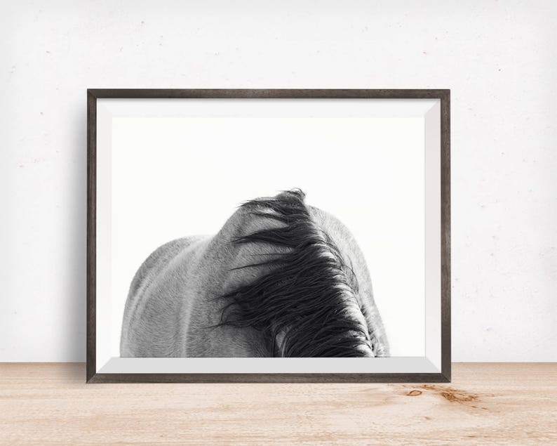 Horse Back Photograph in Black and White Modern Equine Art PHYSICAL PRINT image 2