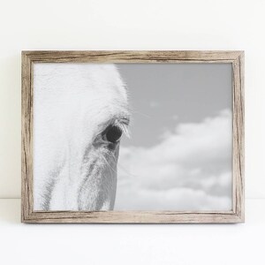 Horse Eye Photograph, Close Up White Horse, Physical Print image 8
