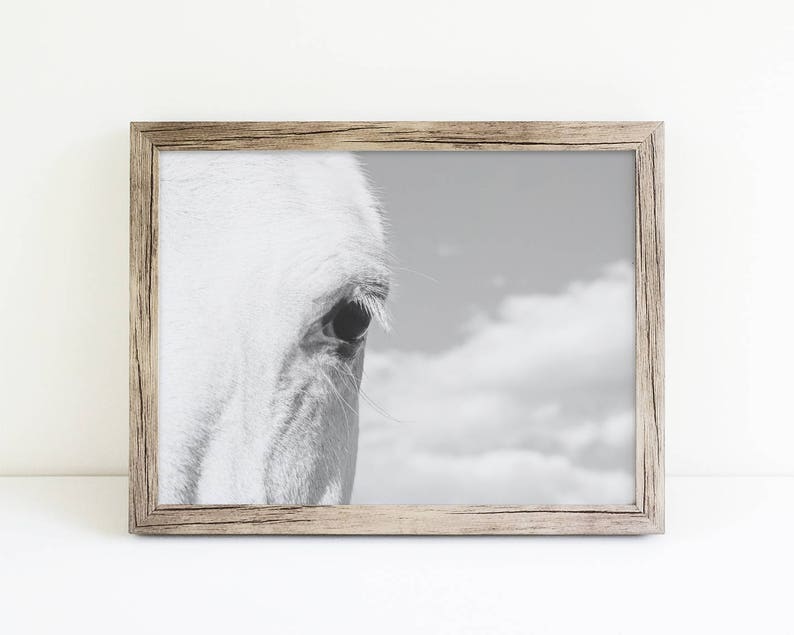 Horse Eye Photograph, Close Up White Horse, Physical Print image 8
