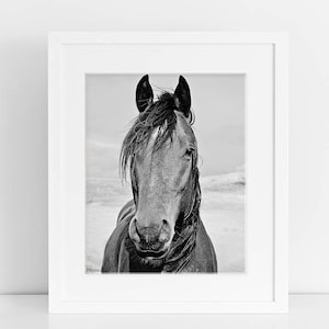 白黒の馬の抱擁写真、馬のアート - Etsy 日本