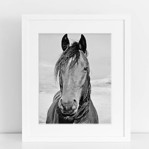 Black and White Horse Photograph, Physical Print, Vertical Equine Print