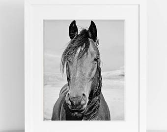 Black and White Horse Photograph, Physical Print, Vertical Equine Print