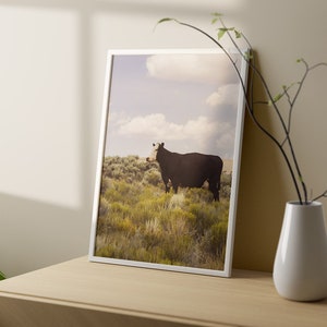 Modern Country Art Print, Fotografía de vaca, Western Wall Art, Fotografía original imagen 5