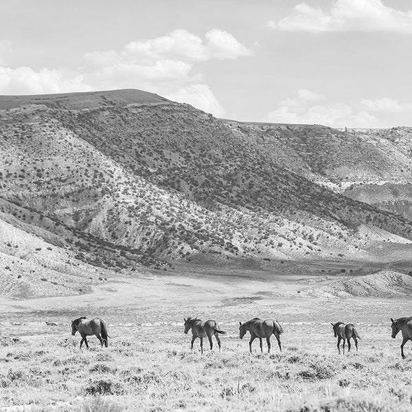 Beautiful Black and White Landscape Print, Wild Horses in the West Art, Horse Wall Art, Art of the West, Western Print