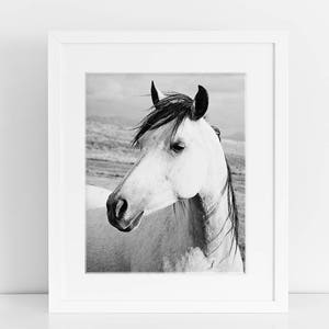 Rustic Country Photograph, Black and White Horse Art, Physical Print image 7