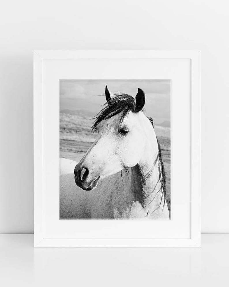 Rustic Country Photograph, Black and White Horse Art, Physical Print image 7