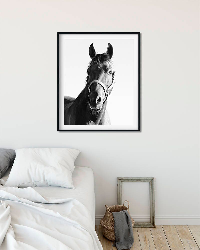 Horse Portrait in Black and White Equestrian Art Equine Home | Etsy
