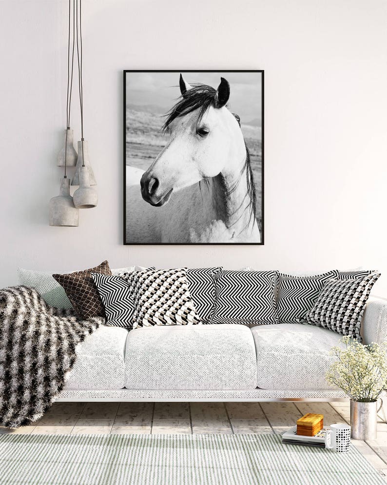 Rustic Country Photograph, Black and White Horse Art, Physical Print image 4