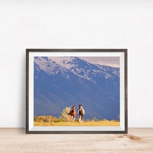 Western Horse Photograph in Color, Paint Horses, Utah Mountains image 6