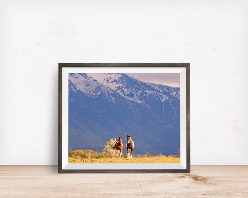 Western Horse Photograph in Color, Paint Horses, Utah Mountains image 6