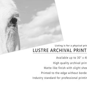 Horse Eye Photograph, Close Up White Horse, Physical Print image 3