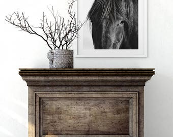 Farmhouse Art, Horse, Black Horse Photograph, Equine Wall Art