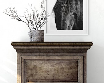 Farmhouse Art, Horse, Black Horse Photograph, Equine Wall Art