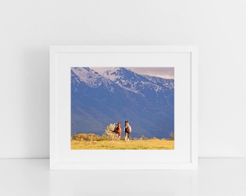 Western Horse Photograph in Color, Paint Horses, Utah Mountains image 4