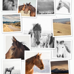 May include: A collage of nine photos featuring horses in various settings. The photos include close-ups of horses' heads, horses running in a field, and horses standing in a snowy landscape. The photos are arranged in a grid pattern and have a rustic, vintage feel.