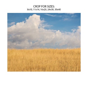 Sky and Field Bright Color Photograph, Montana Sky, Minimalist Landscape Art, Physical Print image 2