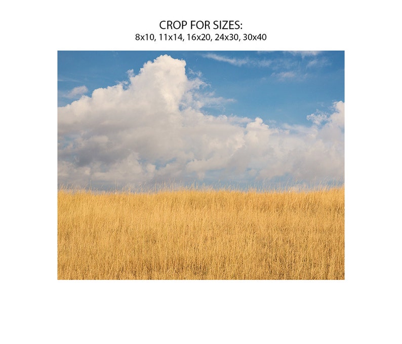 Sky and Field Bright Color Photograph, Montana Sky, Minimalist Landscape Art, Physical Print image 2
