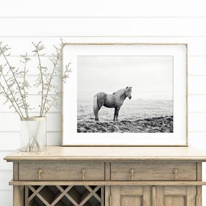 Icelandic Horse, Black and White Landscape Photograph, Equine Art, Physical Print image 7