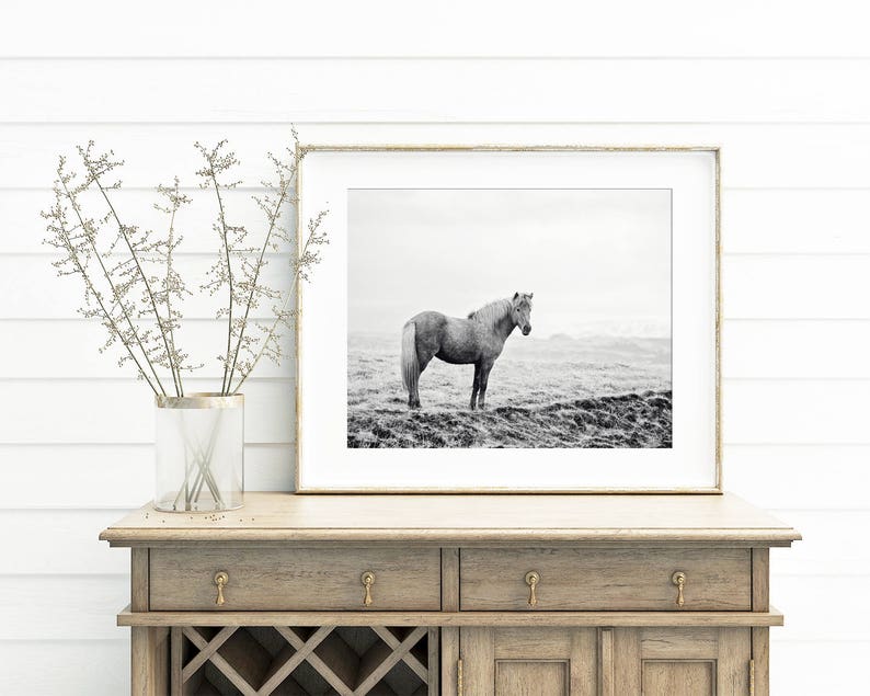 Icelandic Horse, Black and White Landscape Photograph, Equine Art, Physical Print image 7