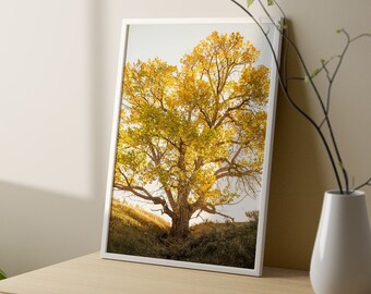 Autumn Tree Picture, Colorful Nature Photography, Beautiful Plant Art, Vertical Tree Photograph