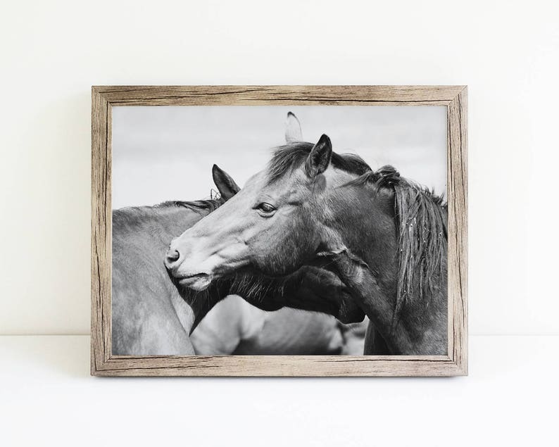 Rugged Western Horses Physical Print Horse Art Black and White Horse Photography