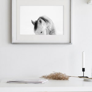 Modern White Horse Photograph White on White Horse Art Print PHYSICAL PRINT image 8