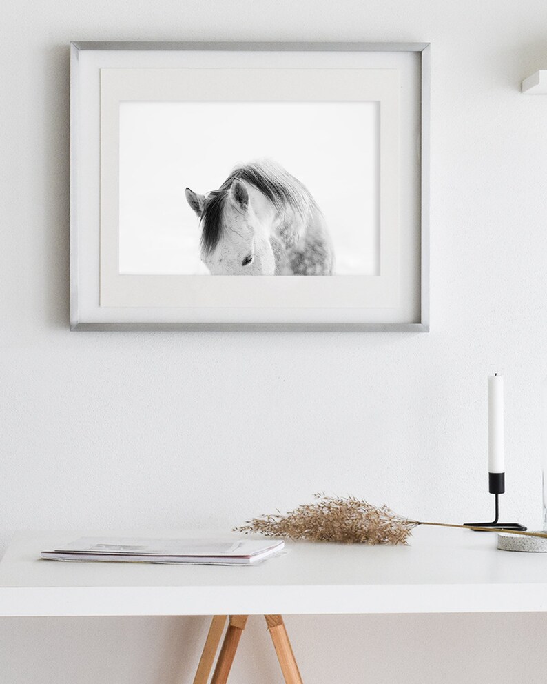 Modern White Horse Photograph White on White Horse Art Print PHYSICAL PRINT image 8