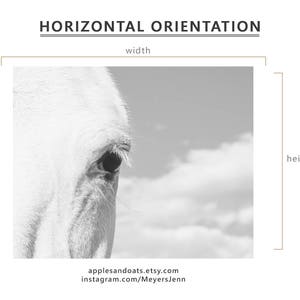 Horse Eye Photograph, Close Up White Horse, Physical Print image 7